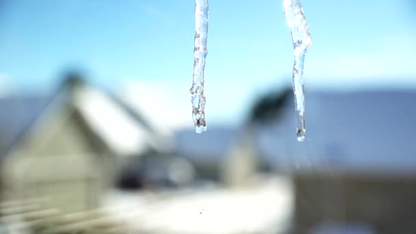 Closeup View Melting Icicles Slow Motion — Stock Video