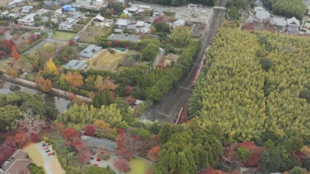 Letecký Pohled Bambusový Háj Arashiyama Scénickou Železnici Sagano — Stock video
