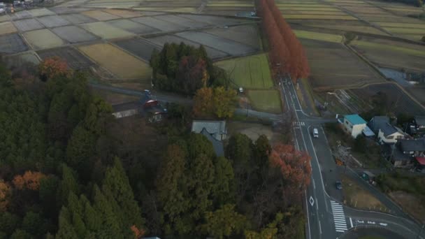 Terreni Agricoli Del Giappone Veduta Aerea Shiga Mattino Presto — Video Stock