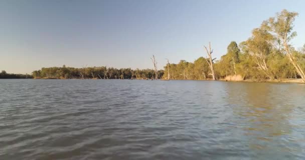 Χαμηλό Επίπεδο Περάσει Πάνω Από Τον Ποταμό Murray — Αρχείο Βίντεο