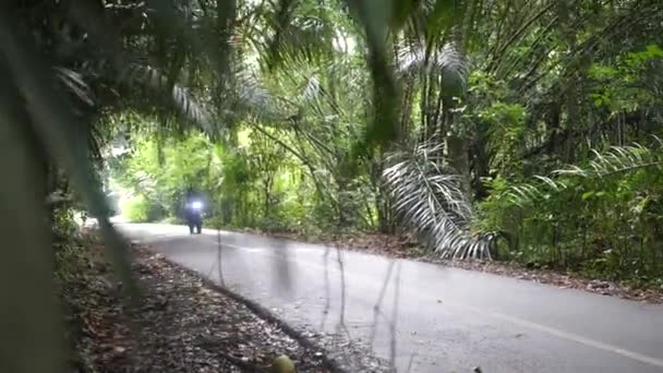Молодий Підхожий Крутий Чоловік Їде Сільськими Дорогами Балі Своїм Мотоциклом — стокове відео