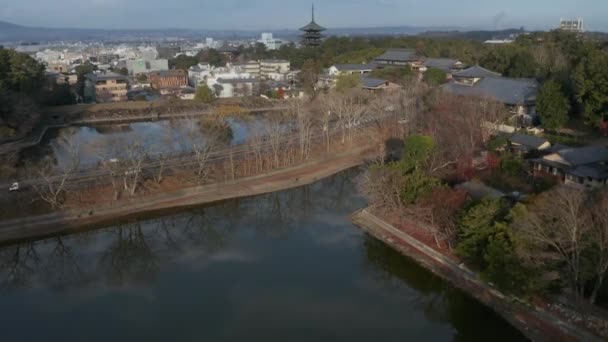 Nara Stadspark Tempels Antenne Kanteling Schot Vroege Ochtend Mooie Dag — Stockvideo