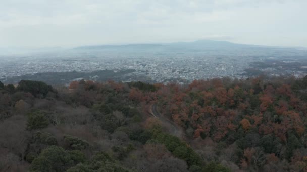 Serpentine Weg Die Leidt Door Bergen Naar Stad Nara Japan — Stockvideo