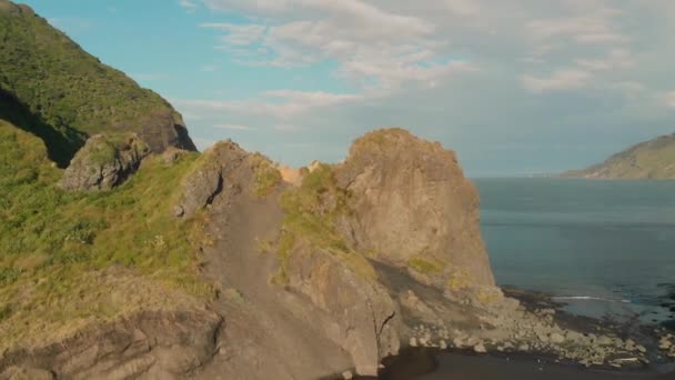 Volare Sopra Formazione Rocciosa Sulla Spiaggia Nuova Zelanda — Video Stock