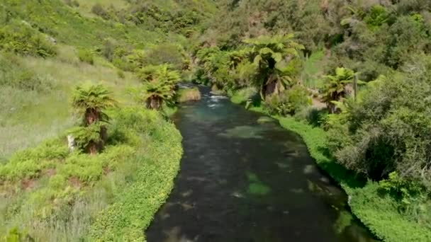 Volando Sobre Claro Prístino Putaruru Blue Spring Nueva Zelanda — Vídeo de stock