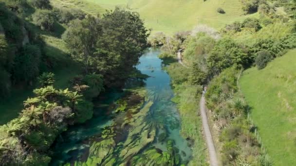 Vista Aérea Waihou Walkway Putaruru Blue Spring Nova Zelândia — Vídeo de Stock