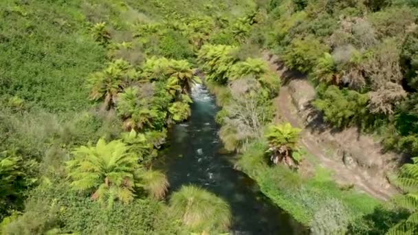 Fyling Schone Zoetwaterstroom Blue Spring Putaruru Nieuw Zeeland — Stockvideo