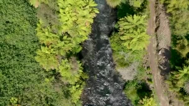 Top Uitzicht Vanuit Lucht Schoon Zoet Water Rivier Stromen Inheemse — Stockvideo