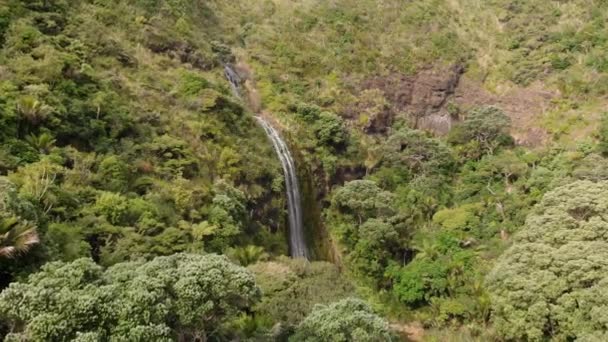 뉴질랜드의 자연계에서 아름다운 폭포를 날아오는 — 비디오