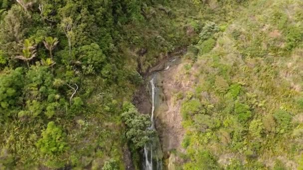 ニュージーランドのKitekite滝と隠されたプールの空中暴露 — ストック動画