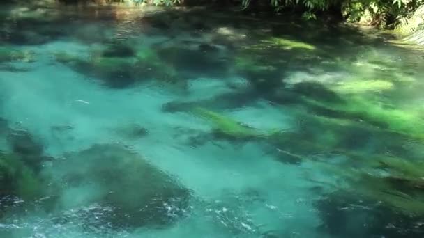 Slowmo Shot Της Αργής Ροής Παρθένα Καθαρό Τυρκουάζ Ποταμού Putaruru — Αρχείο Βίντεο