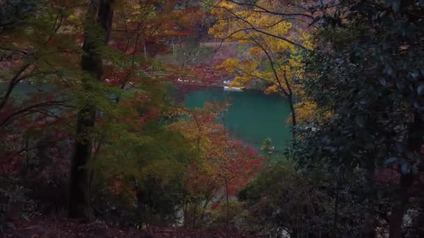 Herbstfarben Kyoto Ahorne Umrahmen Das Blaue Wasser Des Flusses Hintergrund — Stockvideo