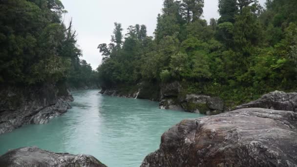 Slowmo Rivière Glacier Coule Travers Forêt Luxuriante Indigène Nouvelle Zélande — Video