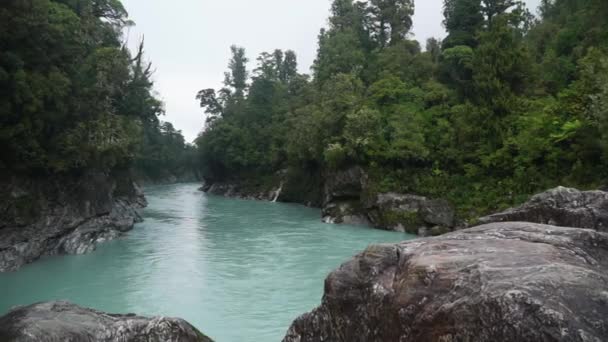 Ghiacciaio Fluisce Attraverso Lussureggiante Foresta Nativa Della Nuova Zelanda Gola — Video Stock