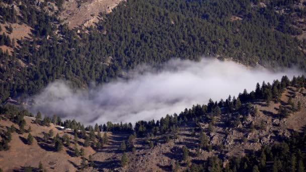 Nuvem Nevoeiro Movendo Lentamente Através Vale — Vídeo de Stock