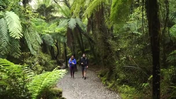 Slowmo Yeni Zelanda Nın Yemyeşil Ormanlarında Yürüyen Genç Bir Çift — Stok video