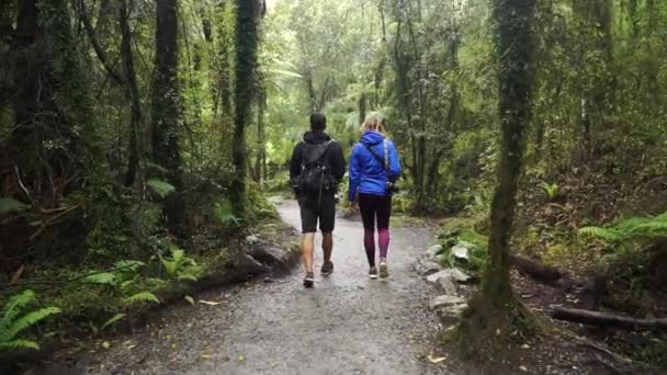 Slowmo Turista Masculino Femenino Por Detrás Caminar Través Nueva Zelanda — Vídeos de Stock