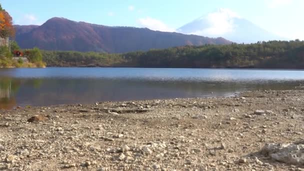 Gyönyörű Hegyi Fuji Japánban — Stock videók