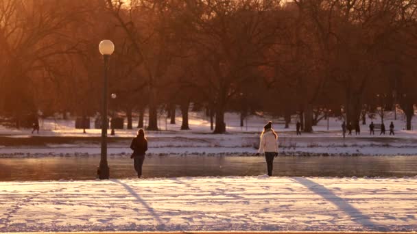 Donne Parco Uno Sfondo Luce Calda — Video Stock