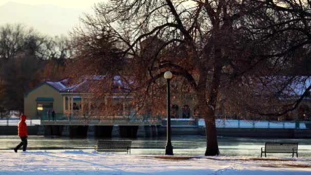 Hombre Caminando Parque Contra Fondo Del Horizonte Denver — Vídeos de Stock