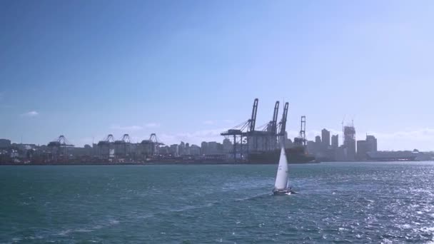 Slowmo ニュージーランドの背景にオークランド港を通過する小型帆船 — ストック動画