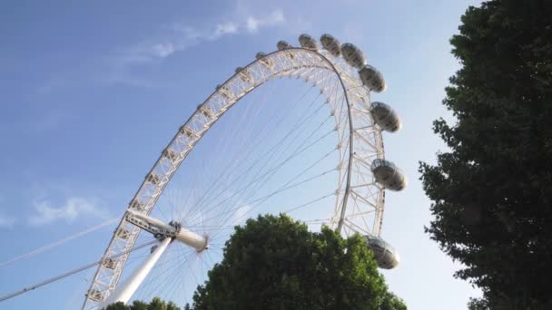 London Eye Les Arbres Dans Vent Bas Vue Angle Bas — Video