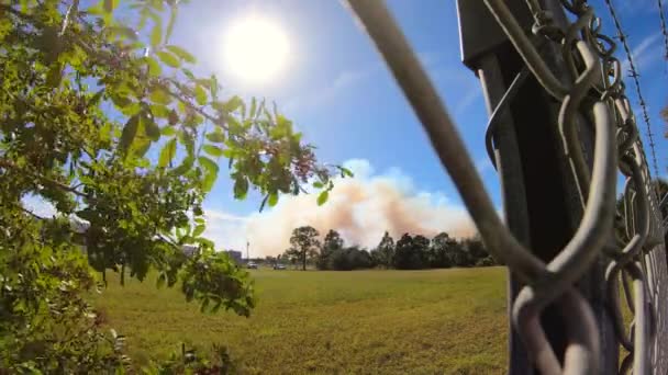 佛罗里达控制着火势远处的一块干地被烧毁 以防止意外失火 夏天的这一天 浓烟从地平线上升起 4K时间差 — 图库视频影像