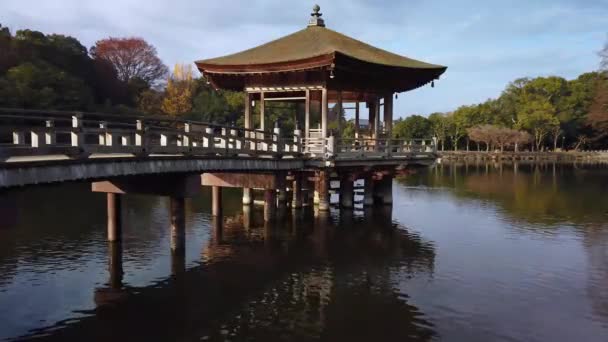 Pagoda Pond Nara City Park Statische Vaststelling Schot Als Water — Stockvideo