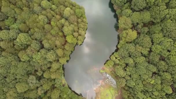 Lago Mezzo Alla Foresta Con Acqua Verde Cielo Riflettono Avanti — Video Stock