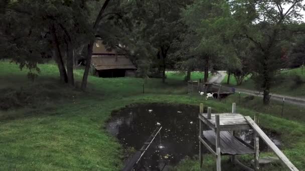Ördeklerin Eski Terk Edilmiş Bir Çiftlik Evinin Önünde Keçilerle Birlikte — Stok video
