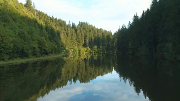 Pequeño Lago Austríaco Tranquilo Rodeado Árboles — Vídeo de stock