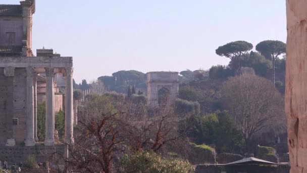 Vogel Vliegend Door Het Forum Romanum Rome Italië — Stockvideo