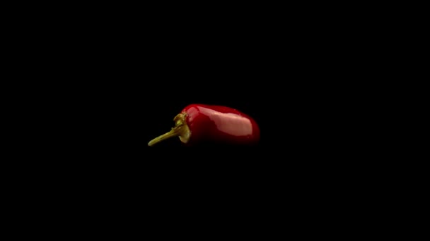 Rotating Shot Roșu Strălucitor Fierbinte Chili Fundal Negru — Videoclip de stoc