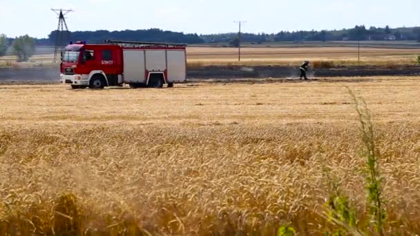 Brandweerman Blussen Van Een Brand Een Landbouwgrond Een Zonnige Dag — Stockvideo