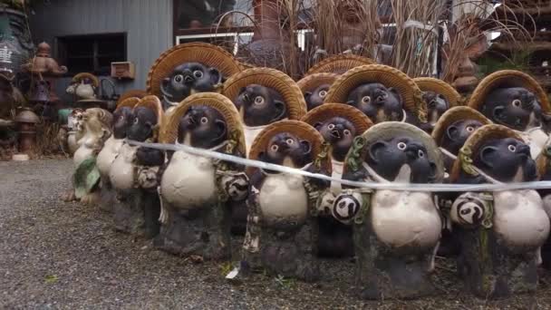 Statue Tanuki Ceramica Shigaraki Allineate Shiga Giappone — Video Stock