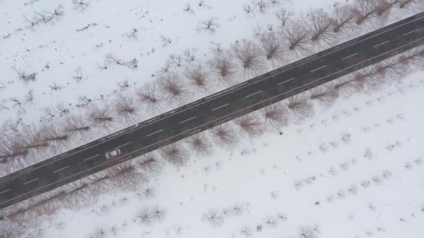 滋賀県日本の雪道を斜めに走る車 — ストック動画