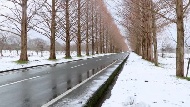 Auto Rijdt Langs Winterse Weg Shiga Japan Statisch Vestigingsschot — Stockvideo