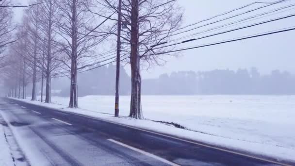 車が並木道をドライブするように凍結道路を渡ってパン — ストック動画