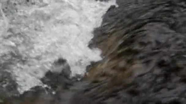 Linville Falls Tiro Apretado Agua Corriente — Vídeos de Stock