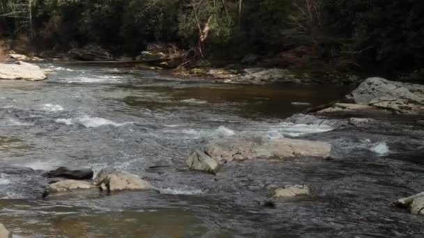 Linville Falls Linville River Flowing — Stock video