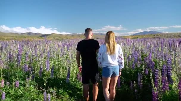 Slowmo Ung Kaukasisk Manlig Och Kvinnlig Promenad Genom Fältet Nya — Stockvideo