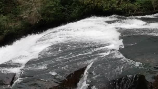 Overhead Shot Triple Falls Dupont State Forest — Vídeo de Stock