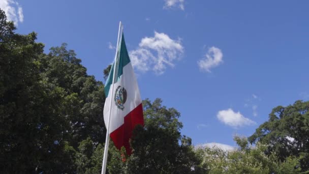 Eine Große Mexikanische Flagge Umgeben Von Bäumen Die Wind Wehen — Stockvideo