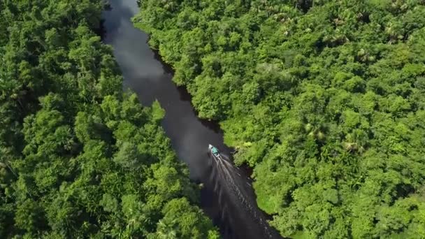 Barco Turismo Delta Rio Orinoco Venezuela Alinhado Por Exuberante Floresta — Vídeo de Stock