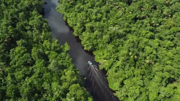 Tour Barca Sul Delta Del Rio Orinoco Venezuela Fiancheggiata Una — Video Stock