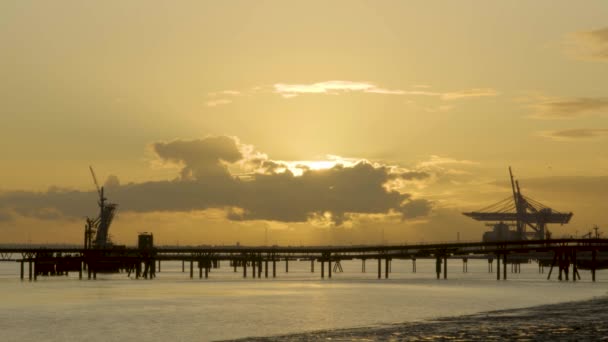 Grúas Centro Industrial Junto Mar Durante Puesta Del Sol — Vídeos de Stock