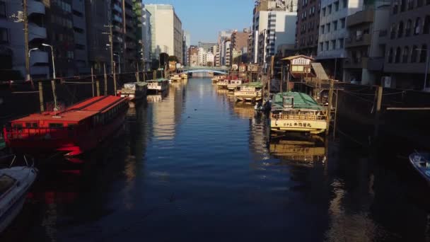 Tokyo Sumida Nehri Ndeki Tekne Sabahın Erken Saatlerinde Japonya Nın — Stok video