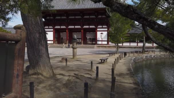 Нара Японія Храм Тодайджі Біля Парку Нари — стокове відео