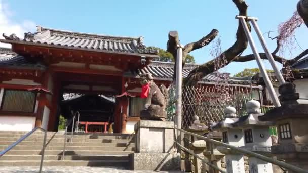 Кроки Японського Храму Охоронцями Кам Яними Собаками — стокове відео