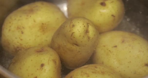 Primo Piano Patate Pelate Bollenti Una Pentola Cottura — Video Stock